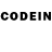 Псилоцибиновые грибы GOLDEN TEACHER XBRAHAM