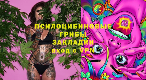 ешки Горняк