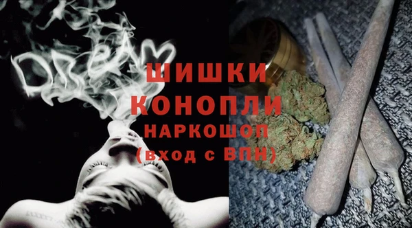 2c-b Горнозаводск
