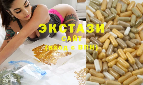 ешки Горняк