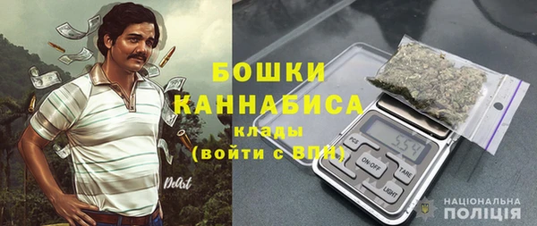 2c-b Горнозаводск