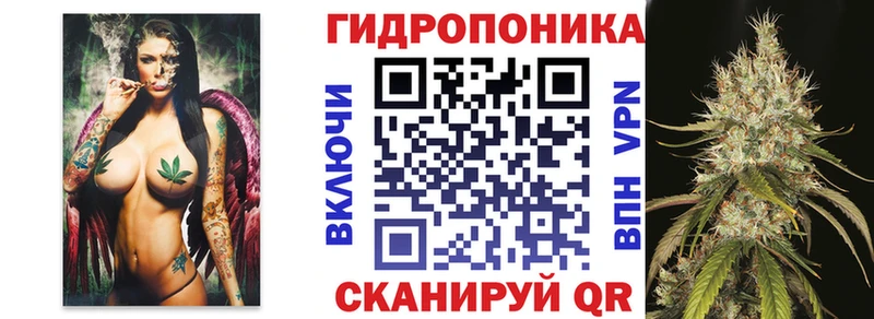 Конопля Bruce Banner  Новый Уренгой 